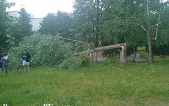 В результате вчерашней стихии на Волковыщине пострадало 37 населенных пунктов