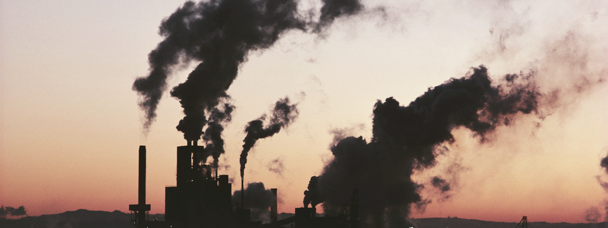 Ученые обнаружили, сколько лет жизни у нас отнимает грязный воздух: «это катастрофа»