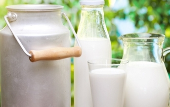 В Беларуси появились новые монополисты: ими стали крупнейшие переработчики сырого молока, включая «Беллакт»