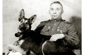 Верные друзья