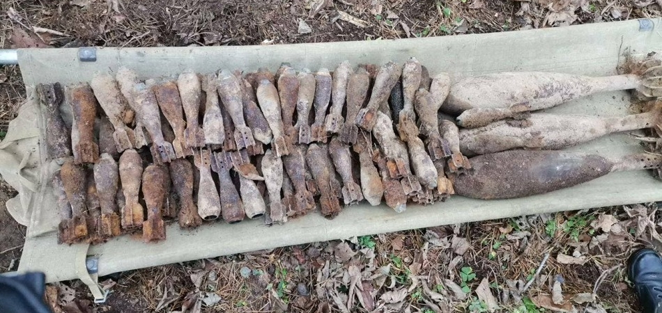 В Замковом лесу под Волковыском обнаружены боеприпасы времен Второй мировой войны