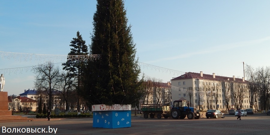 В Волковыске открылись елочные базары