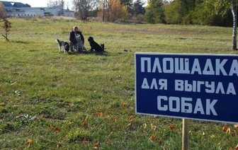 Слонимские чиновники определили места для выгула собак в городе