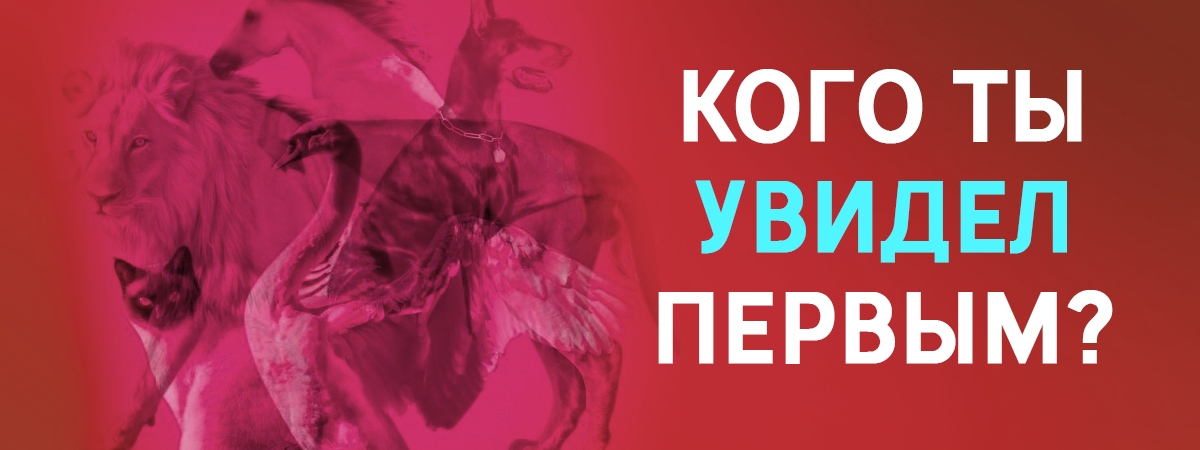 Какое животное ты увидел первым? Оно многое расскажет о тебе