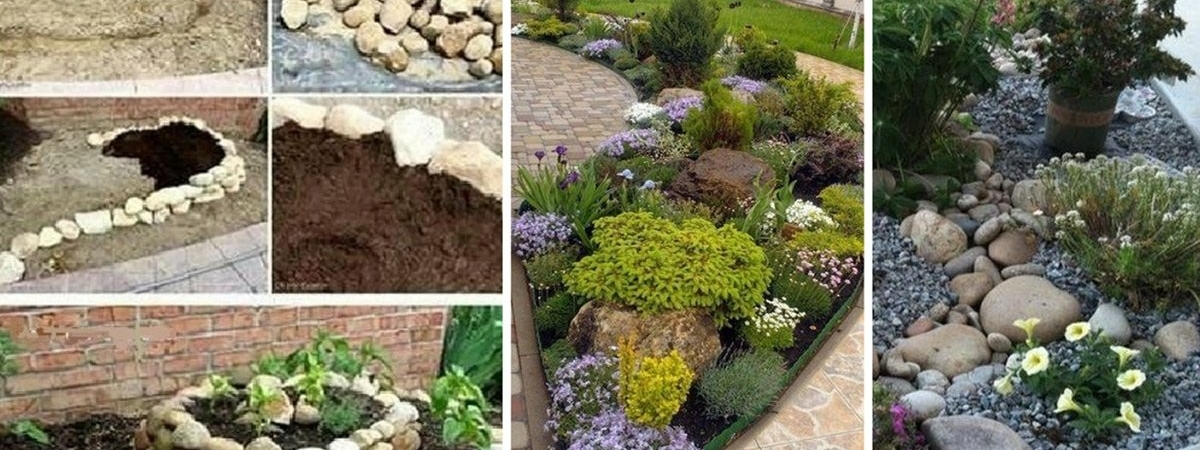 Как создать сад из цветов и камней за неделю