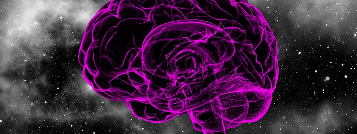 3 знака Зодиака, которые своим умом превосходят всех остальных