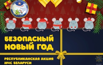 Республиканская акция МЧС «Безопасный Новый год!» стартовала 7 декабря