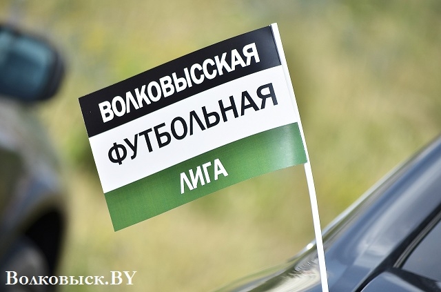 Дан старт летнему Кубку ВФЛ-2016 (ФОТО)
