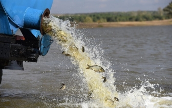 Определен список водоемов для зарыбления в 2020 году на Гродненщине