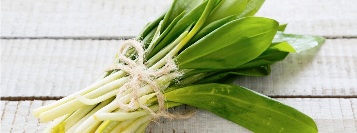 Чудо-растение: лучший продукт для хорошей работы сердца