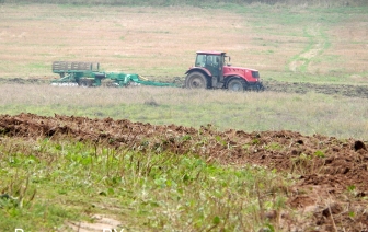 У деревни Залешаны обнаружено неубранное поле (обновлено)