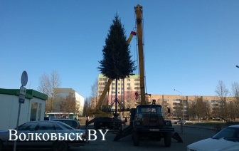 В Волковыске установили новогодние елки