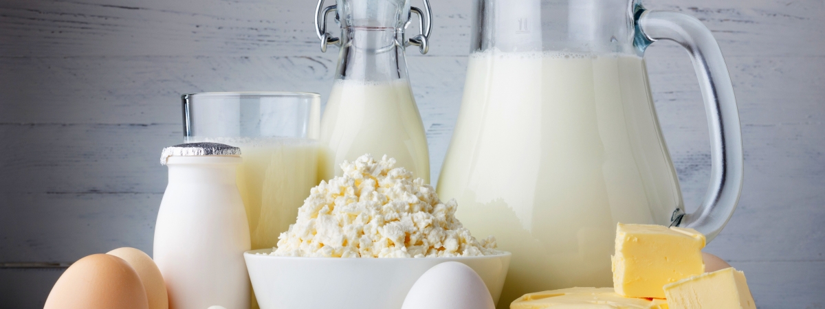 Молочные продукты положительно влияют на кости и позвоночник мужчин, но не женщин