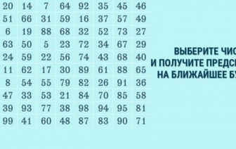 Тест-предсказание: выбери три числа и узнай, что с тобой случится до конца лета