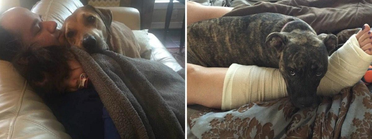 Щенячий восторг: фото любвеобильных собакенов, которые растопят твое сердце