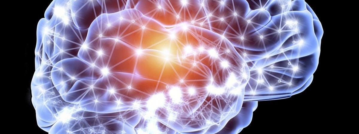 Умные люди стареют медленнее - исследование