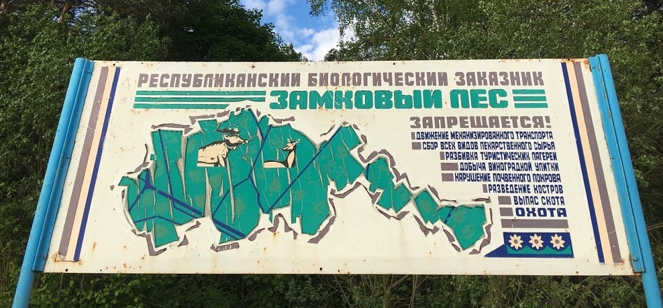 В Волковысском районе снова снят запрет на посещение лесов