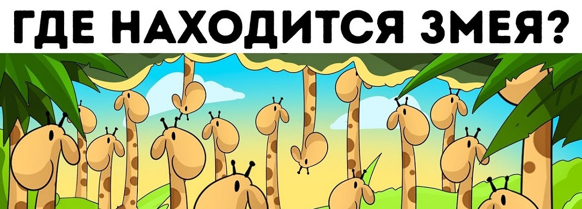 6 картинок, которые заставят ваш мозг закипеть, пока вы будете искать отличия