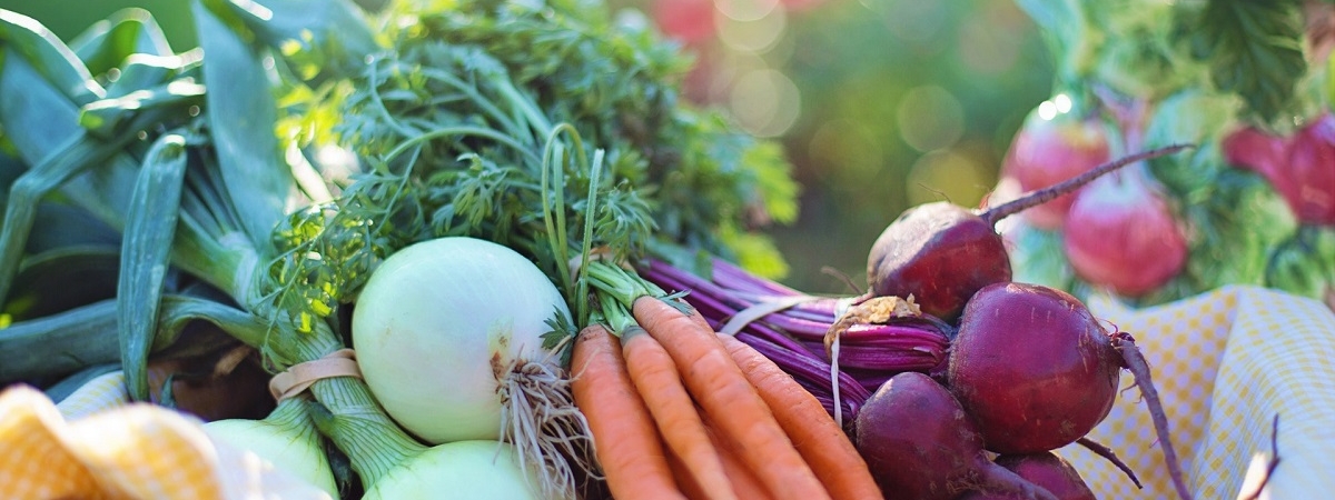 5 мифов об органике: что на самом деле стоит знать о продуктах без «химии»