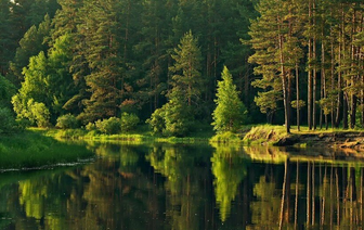 Не сори в лесу и на берегу