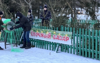 В Волковыске открылись елочные базары
