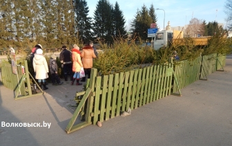 Сколько будет стоить незаконно срубленная новогодняя ель