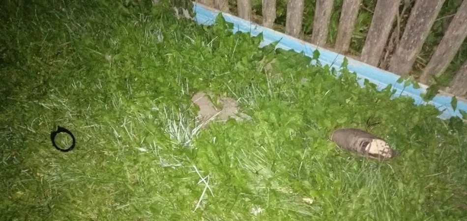 В Зельвенском районе девушка сбила насмерть пешехода и скрылась с места ДТП