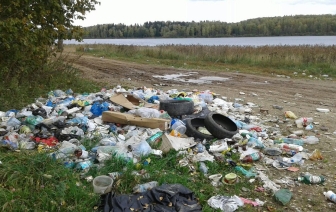  Эксперты рассказали, как в области наводят порядок на земле