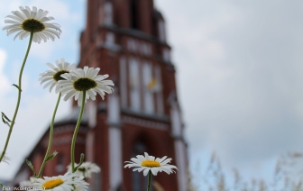 У Шылавічах адбыўся парафіяльны фэст (ФОТА, ВІДЭА)