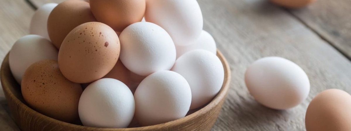 Эксперты назвали уникальные свойства куриных яиц