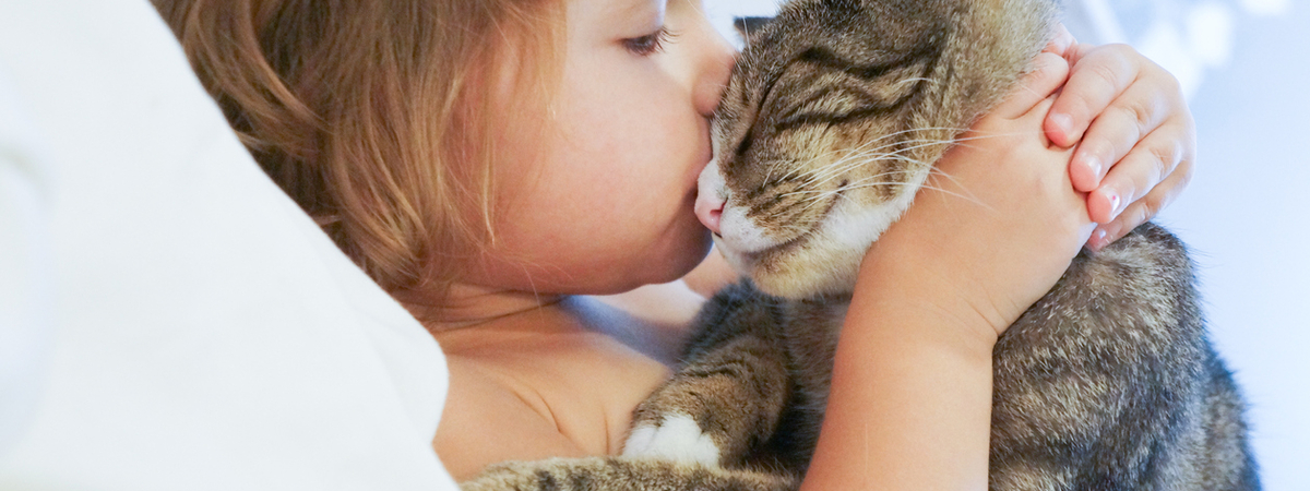 Ученые доказали, что кошки могут спасти ребенка от астмы