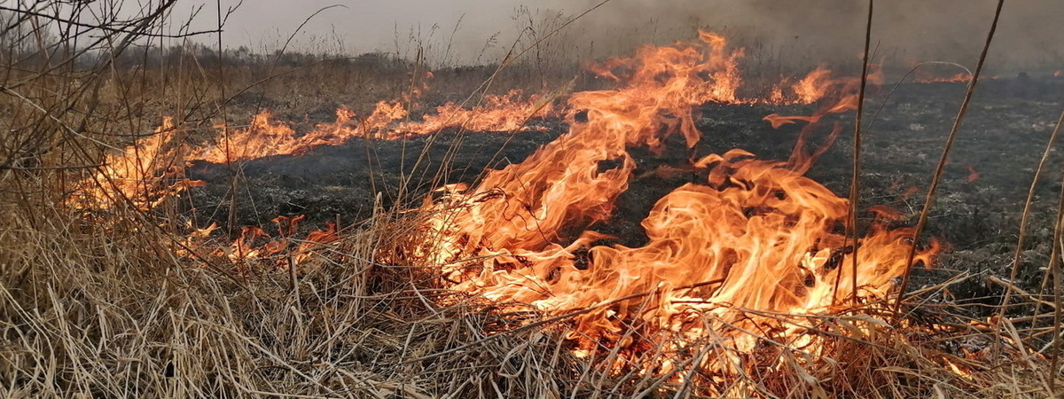 В Мостовском районе из-за палов травы сгорело 5 домов и 17 хозпостроек