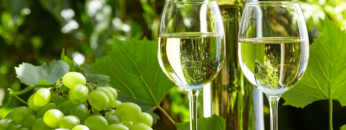 Чем опасно для женщин белое вино