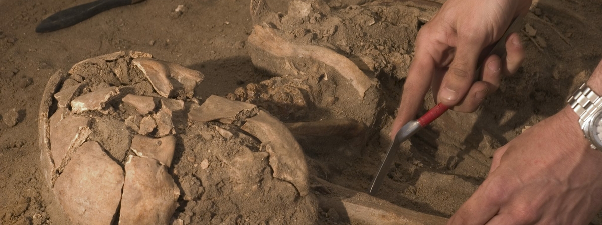 Ученые обнаружили некрополь загадочной культуры: «3300 лет до нашей эры»