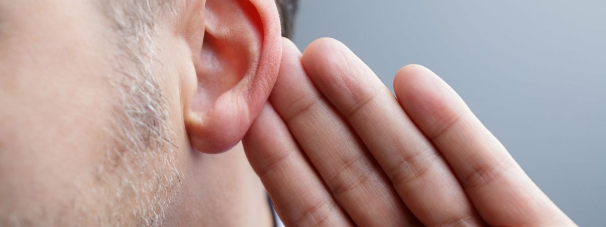 Учёные нашли белки, способные восстановить слух
