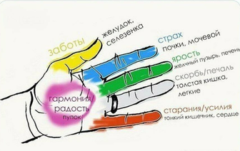 Каждый палец руки связан с 2 органами исцели себя сам