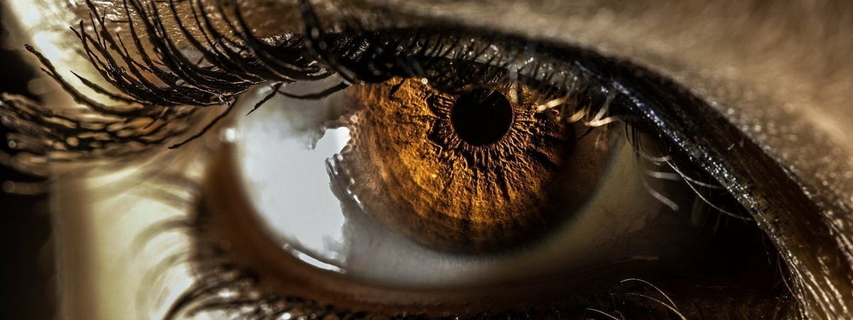 Почему ученые считают людей с карими глазами лучшими