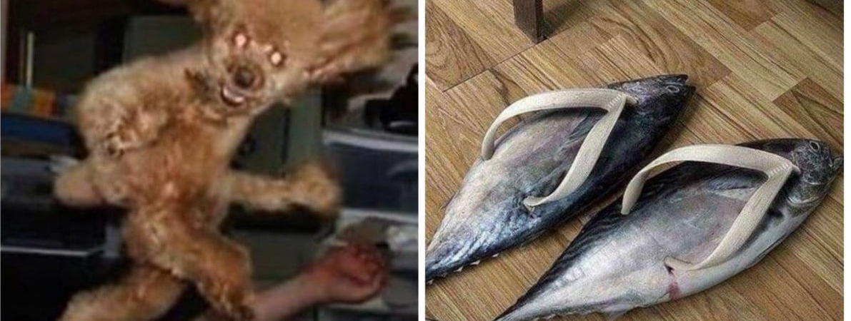 Чудаковатые снимки, на которых происходит какая-то чертовщина