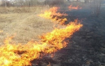 Не выжигайте прошлогоднюю траву