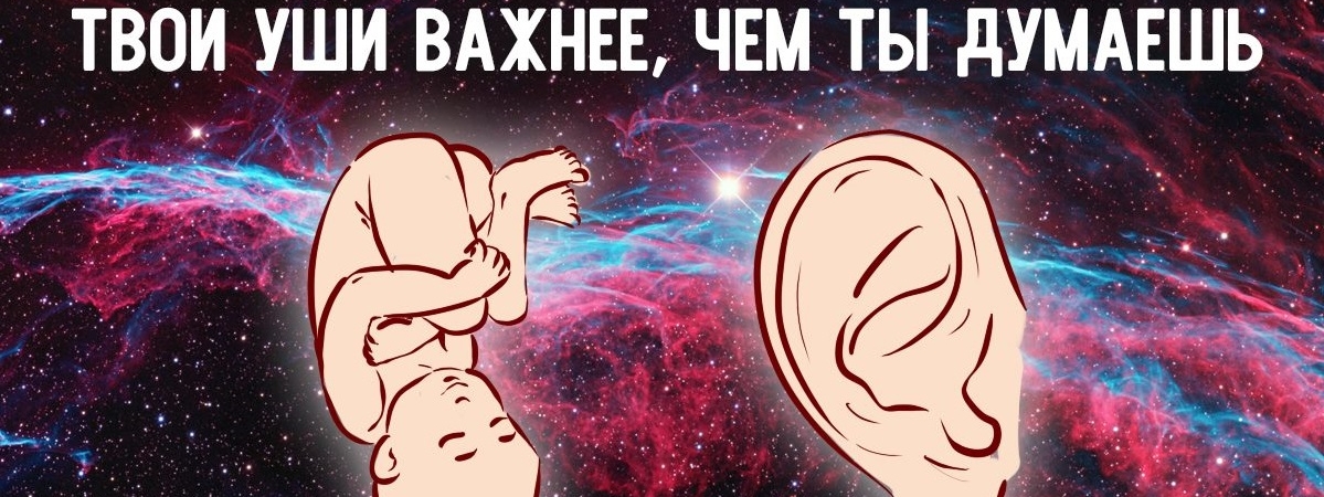 О чём говорят наши уши: эта часть тела о многом поведает