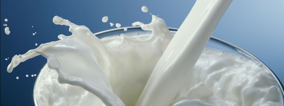 Диетолог развенчала популярные мифы о свойствах молока