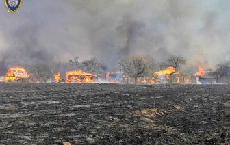 На пожаре в деревне под Щучином сгорело 20 домов