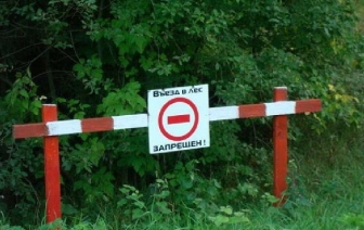 Накануне горячих выходных леса Волковыщины закрыты для посещения