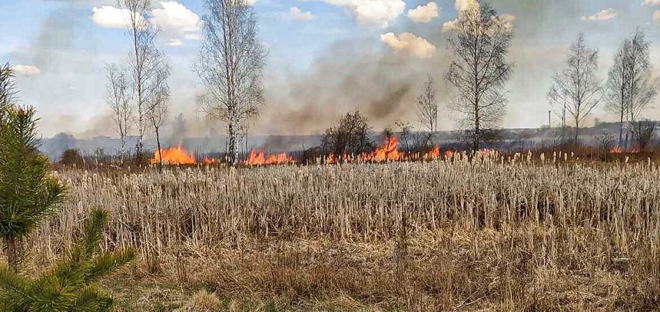 В Волковыске горела частная баня и продолжаются палы растительности