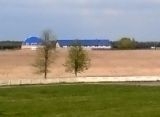 Первенство Гродненской области по конному спорту
