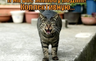 Ответы на обращения граждан должны быть исчерпывающими и понятными