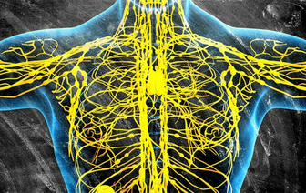 Как распознать забита ли Ваша лимфатическая система и как очистить ее пока не стало слишком поздно