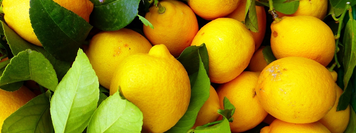 Лимон борется с раком в 10 000 раз эффективнее, чем химиотерапия