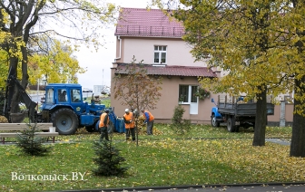 Коммунальники борются с листвой, а страдают газоны