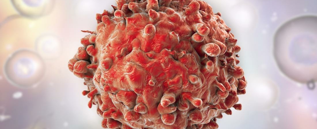 3 ложки в день побеждают рак: Медово-лимонный эликсир помогает при онкологии